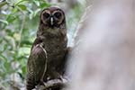 Wilpattu National Park 20th to 23rd April 2024