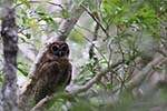 Wilpattu National Park 20th to 23rd April 2024