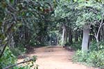 Wilpattu National Park 20th to 23rd April 2024