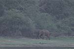 Wilpattu National Park 20th to 23rd April 2024