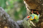 Notes on Field Trips Wilpattu National Park