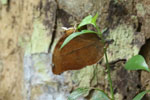 Notes on Field Trips Wilpattu National Park