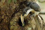 Notes on Field Trips Wilpattu National Park