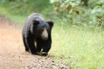 Notes on Field Trips Wilpattu National Park