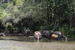 Notes on Field Trips Wilpattu National Park