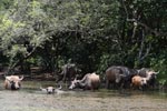 Notes on Field Trips Wilpattu National Park