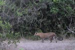 Notes on Field Trips Wilpattu National Park