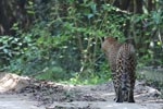 Notes on Field Trips Wilpattu National Park