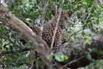 Notes on Field Trips Wilpattu National Park