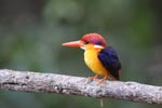 Notes on Field Trips Wilpattu National Park