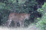 Notes on Field Trips Wilpattu National Park