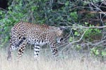 Notes on Field Trips Wilpattu National Park