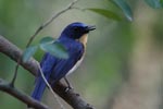 Notes on Field Trips Wilpattu National Park