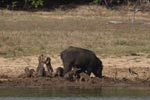 Notes on Field Trips Wilpattu National Park