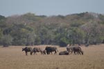 Notes on Field Trips Wilpattu National Park