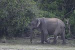 Notes on Field Trips Wilpattu National Park