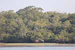 Wilpattu National Park 22nd to 24th March 2024