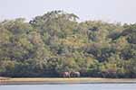 Wilpattu National Park 22nd to 24th March 2024