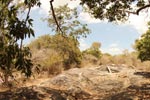 Notes on Field Trips Wilpattu National Park