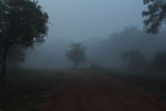 Wilpattu National Park