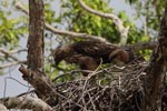 Notes on Field Trips Wilpattu National Park