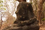 Notes on Field Trips Wilpattu National Park