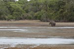 Notes on Field Trips Wilpattu National Park