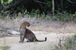 Notes on Field Trips Wilpattu National Park