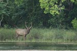 Notes on Field Trips Wilpattu National Park