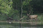 Notes on Field Trips Wilpattu National Park