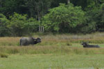 Notes on Field Trips Wilpattu National Park