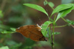 Notes on Field Trips Wilpattu National Park