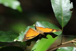 Notes on Field Trips Wilpattu National Park