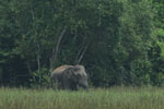 Notes on Field Trips Wilpattu National Park