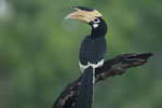 Notes on Field Trips Wilpattu National Park