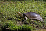 Notes on Field Trips Wilpattu National Park