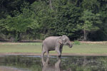 Notes on Field Trips Wilpattu National Park