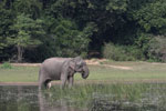 Notes on Field Trips Wilpattu National Park