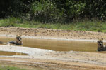 Notes on Field Trips Wilpattu National Park