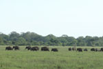 Notes on Field Trips Wilpattu National Park