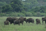 Notes on Field Trips Wilpattu National Park