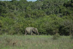 Notes on Field Trips Wilpattu National Park