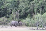 Wilpattu National Park 1st – 2nd April 2023 