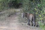 26th to 29th July 2018 Notes on Field Trips Wilpattu National Park