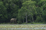 Notes on Field Trips Wilpattu National Park