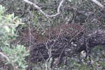 Wilpattu National ParkPark 27 28th July 2019