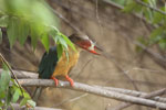 Notes on Field Trips Wilpattu National Park