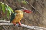 Notes on Field Trips Wilpattu National Park