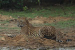 Notes on Field Trips Wilpattu National Park