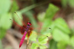 Notes on Field Trips Wilpattu National Park